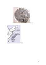 Referāts 'Tirdzniecības un maiņas attīstība Amerikas Savienotajās Valstīs 18.gadsimtā', 12.