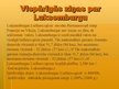 Prezentācija 'Luksemburgas Lielhercogiste', 4.