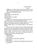 Prakses atskaite 'Prakses atskaite mārketingā. Frizētava', 6.