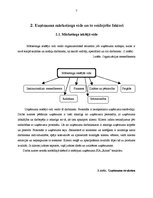 Prakses atskaite 'Prakses atskaite mārketingā. Frizētava', 7.