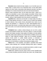 Prakses atskaite 'Prakses atskaite mārketingā. Frizētava', 13.