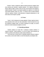 Prakses atskaite 'Prakses atskaite mārketingā. Frizētava', 22.