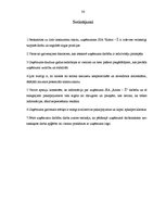 Prakses atskaite 'Prakses atskaite mārketingā. Frizētava', 36.