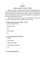 Prakses atskaite 'Prakses atskaite mārketingā. Frizētava', 41.