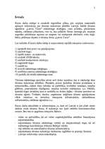 Referāts 'Mārketinga plāns uzņēmumam', 2.