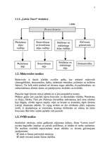 Referāts 'Mārketinga plāns uzņēmumam', 7.