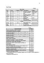 Referāts 'Mārketinga plāns uzņēmumam', 14.