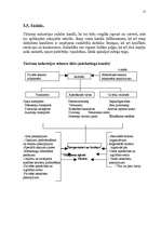 Referāts 'Mārketinga plāns uzņēmumam', 15.