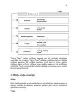 Referāts 'Mārketinga plāns uzņēmumam', 19.