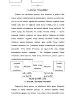 Referāts 'Henrija Faijola vadīšanas principi', 6.