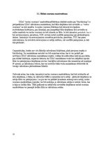 Referāts 'DDOS uzbrukumi un prevencijas pasākumi', 15.