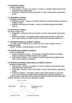 Konspekts 'Atbildes uz eksāmena jautājumiem. Amatniecības un dizaina stratēģija', 2.