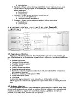 Konspekts 'Atbildes uz eksāmena jautājumiem. Amatniecības un dizaina stratēģija', 4.