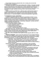 Konspekts 'Atbildes uz eksāmena jautājumiem. Amatniecības un dizaina stratēģija', 13.