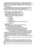 Konspekts 'Atbildes uz eksāmena jautājumiem. Amatniecības un dizaina stratēģija', 17.