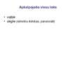 Prezentācija 'Apkalpošanas organizācija', 17.