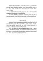 Referāts 'Latvijas valdības rīcības apraksts un analīze saistībā ar pašvaldību vēlēšanu no', 12.