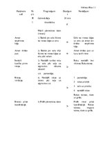 Konspekts 'Konspekts akrobātikā riteņa mācīšanai', 1.