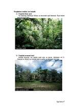 Referāts 'Tropiskie meži', 1.