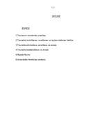 Referāts 'Tiesneša iecelšana un atcelšana no amata', 2.