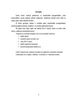 Referāts 'Skaistumkopšanas salona "Impērija" rentabilitātes paaugstināšana', 4.