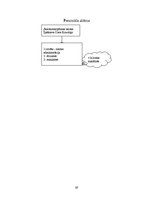 Referāts 'Skaistumkopšanas salona "Impērija" rentabilitātes paaugstināšana', 29.