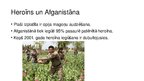 Prezentācija 'Prezentācija par Afganistānu', 18.