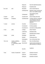 Konspekts 'Terminelementi latīņu valodā. Medicīna', 2.