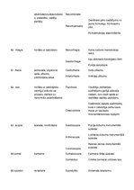 Konspekts 'Terminelementi latīņu valodā. Medicīna', 8.