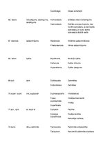 Konspekts 'Terminelementi latīņu valodā. Medicīna', 9.