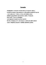Referāts 'Transports kā pasaules pakalpojums', 3.