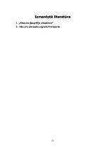 Referāts 'Transports kā pasaules pakalpojums', 13.