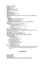 Konspekts 'Faktūras', 1.