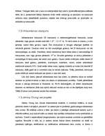 Referāts 'Datora vadība ar vairākiem punktiem, izmantojot infrasarkano starojumu', 5.