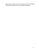 Referāts 'Datora vadība ar vairākiem punktiem, izmantojot infrasarkano starojumu', 12.