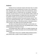 Referāts 'Datora vadība ar vairākiem punktiem, izmantojot infrasarkano starojumu', 14.