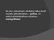 Prezentācija 'Kārlis Lielais - Eiropas apvienotājs vai apspiedējs', 4.