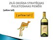 Prezentācija 'Zilā okeāna stratēģija', 9.
