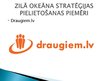 Prezentācija 'Zilā okeāna stratēģija', 12.