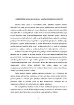 Referāts 'Personīgie aizsarglīdzekļi sociālajā darbā. Infekciju slimība - B hepatīts', 3.