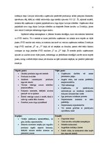Referāts 'SIA "Mottra" starptautiskā mārketinga instrumentu izvēle', 4.