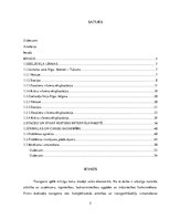 Diplomdarbs 'Vilcienu kustības grafika variantu izstrāde līnijā Rīga - Ventspils', 5.