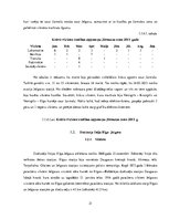 Diplomdarbs 'Vilcienu kustības grafika variantu izstrāde līnijā Rīga - Ventspils', 21.