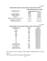 Diplomdarbs 'Vilcienu kustības grafika variantu izstrāde līnijā Rīga - Ventspils', 48.