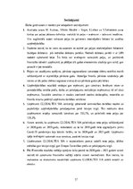 Referāts 'Uzņēmuma peļņas analīze', 17.