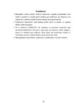 Referāts 'Uzņēmuma peļņas analīze', 18.