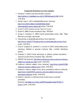 Referāts 'Uzņēmuma peļņas analīze', 19.