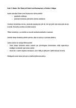 Konspekts 'Scott T.Moore. "The Theory of Street Level Bureaucracy. A Positive Critique"', 1.