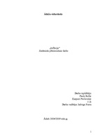 Referāts 'Inflācija', 1.