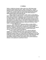 Referāts 'Inflācija', 4.